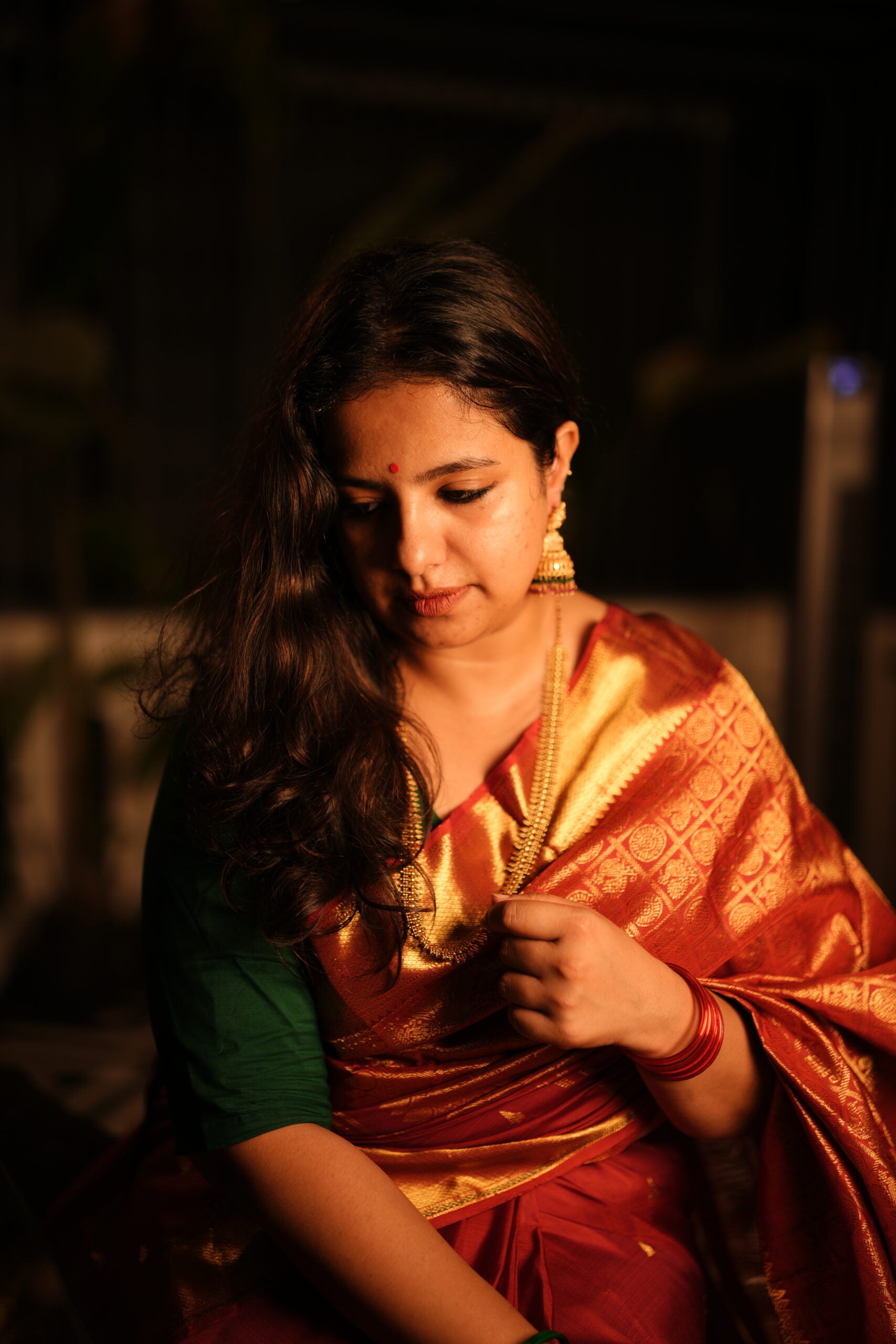 Gayathri Saree 36