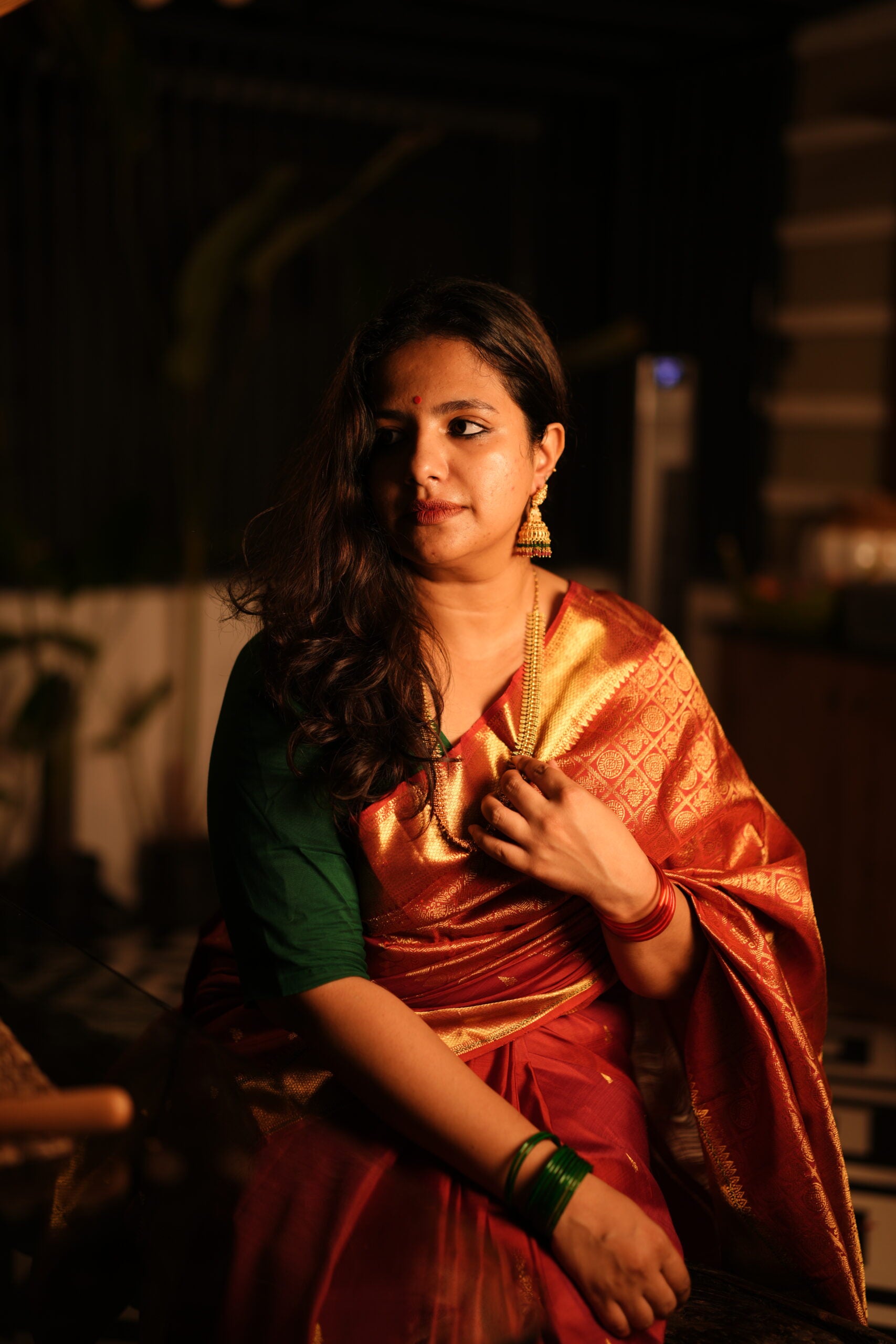 Gayathri Saree 34