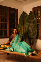 Shreyanshi Saree 17