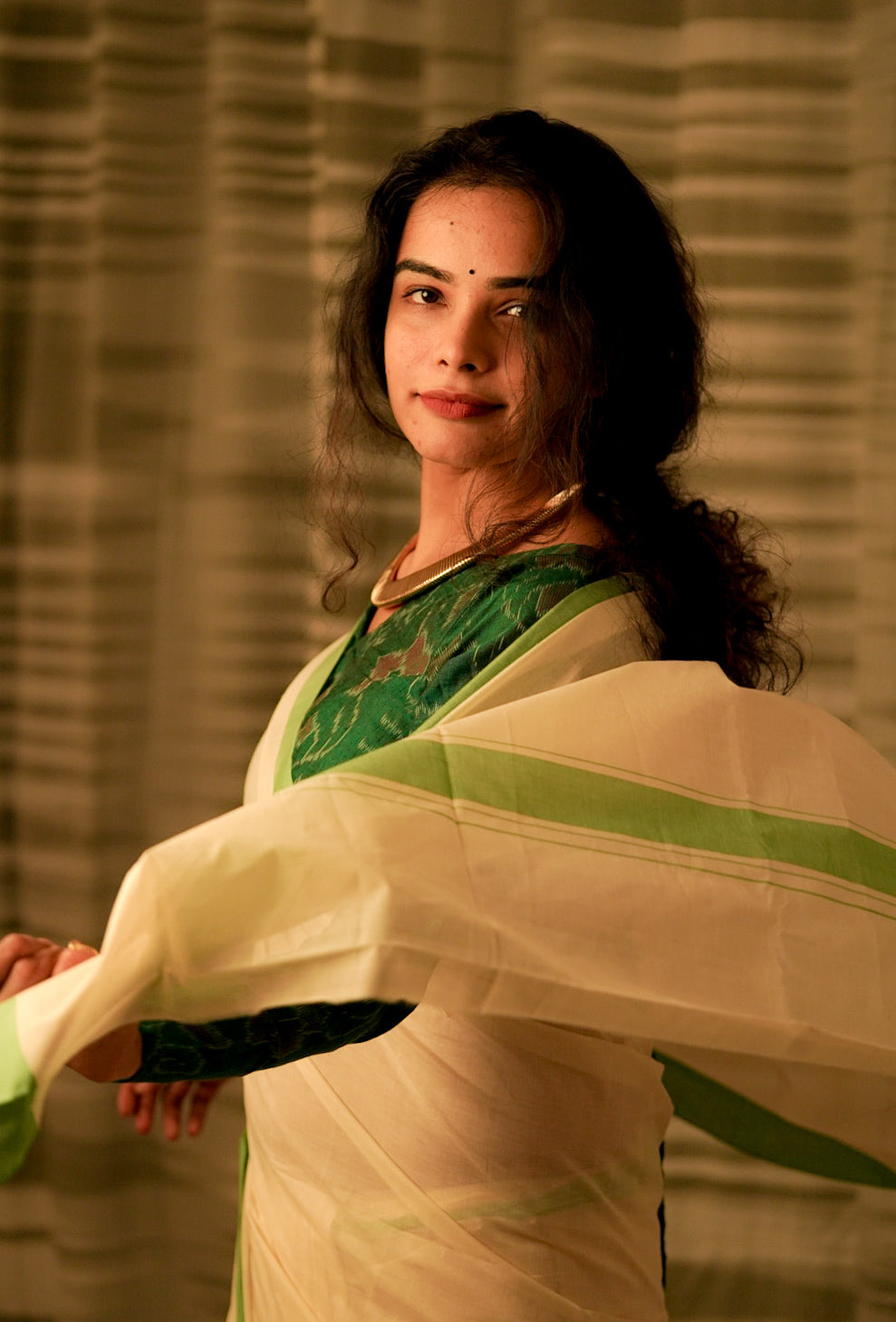 Arimulla Saree 2