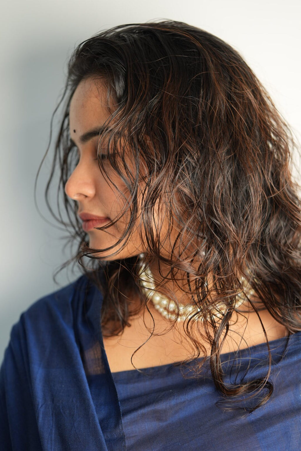 Ponmaan saree 5