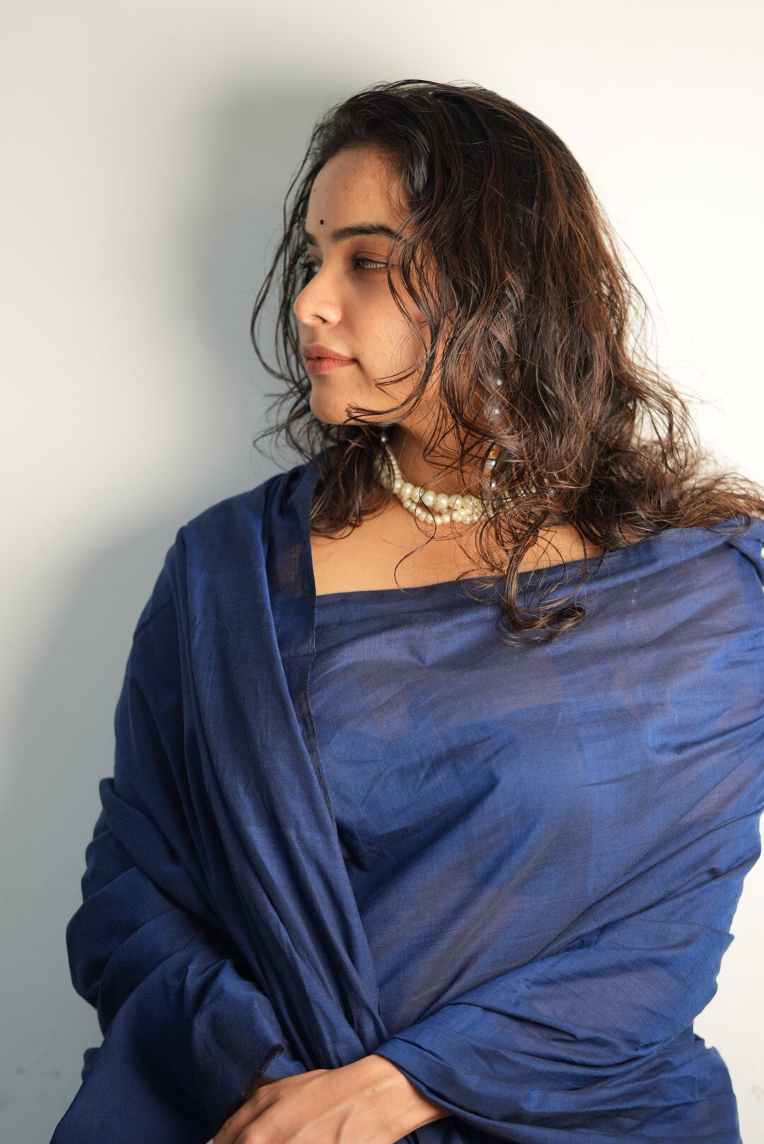 Ponmaan saree 6