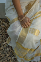 Chitralekha Saree 11