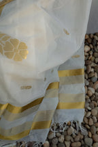 Chitralekha Saree 14