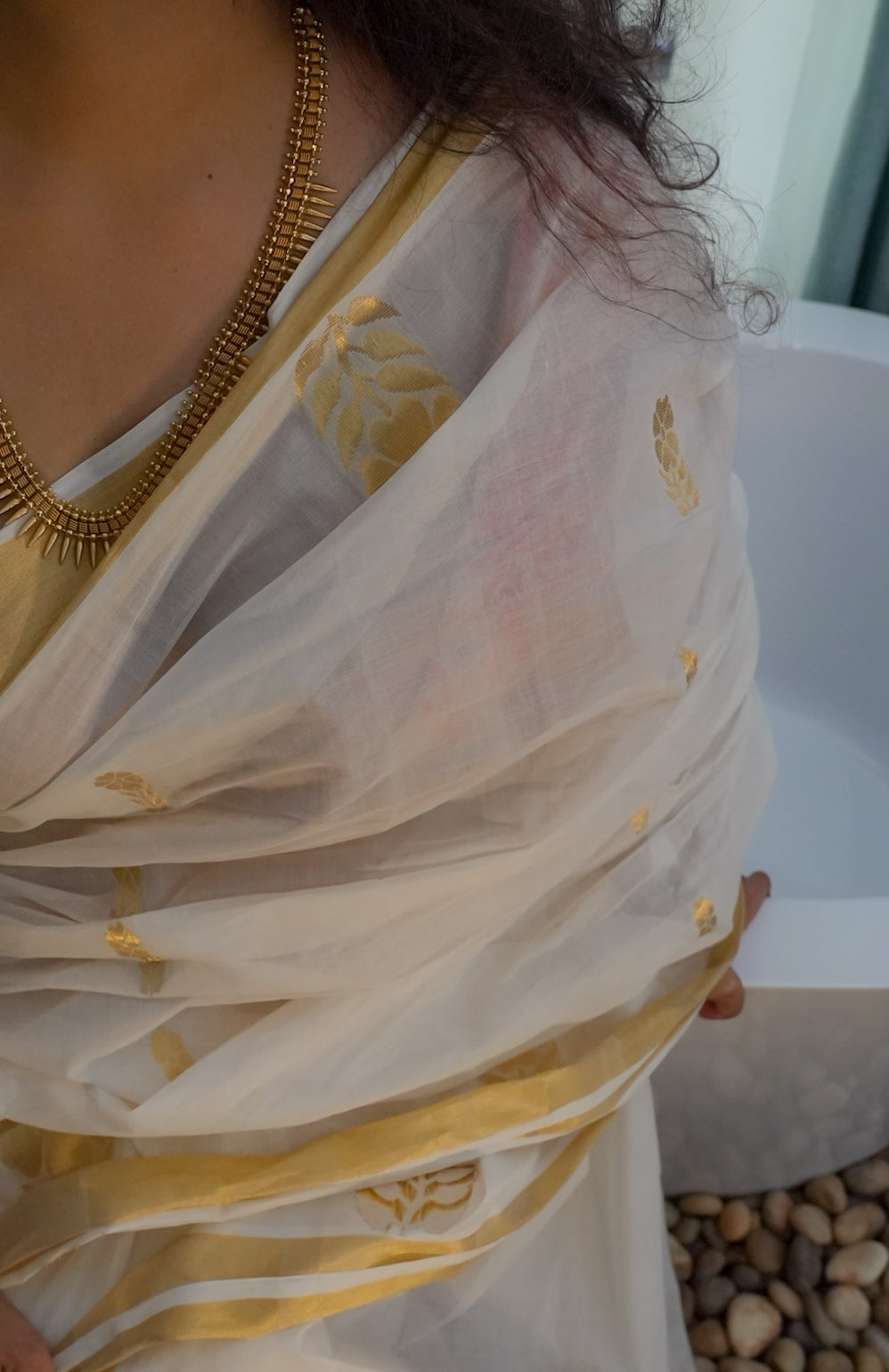 Chitralekha Saree 13