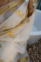 Chitralekha Saree 12