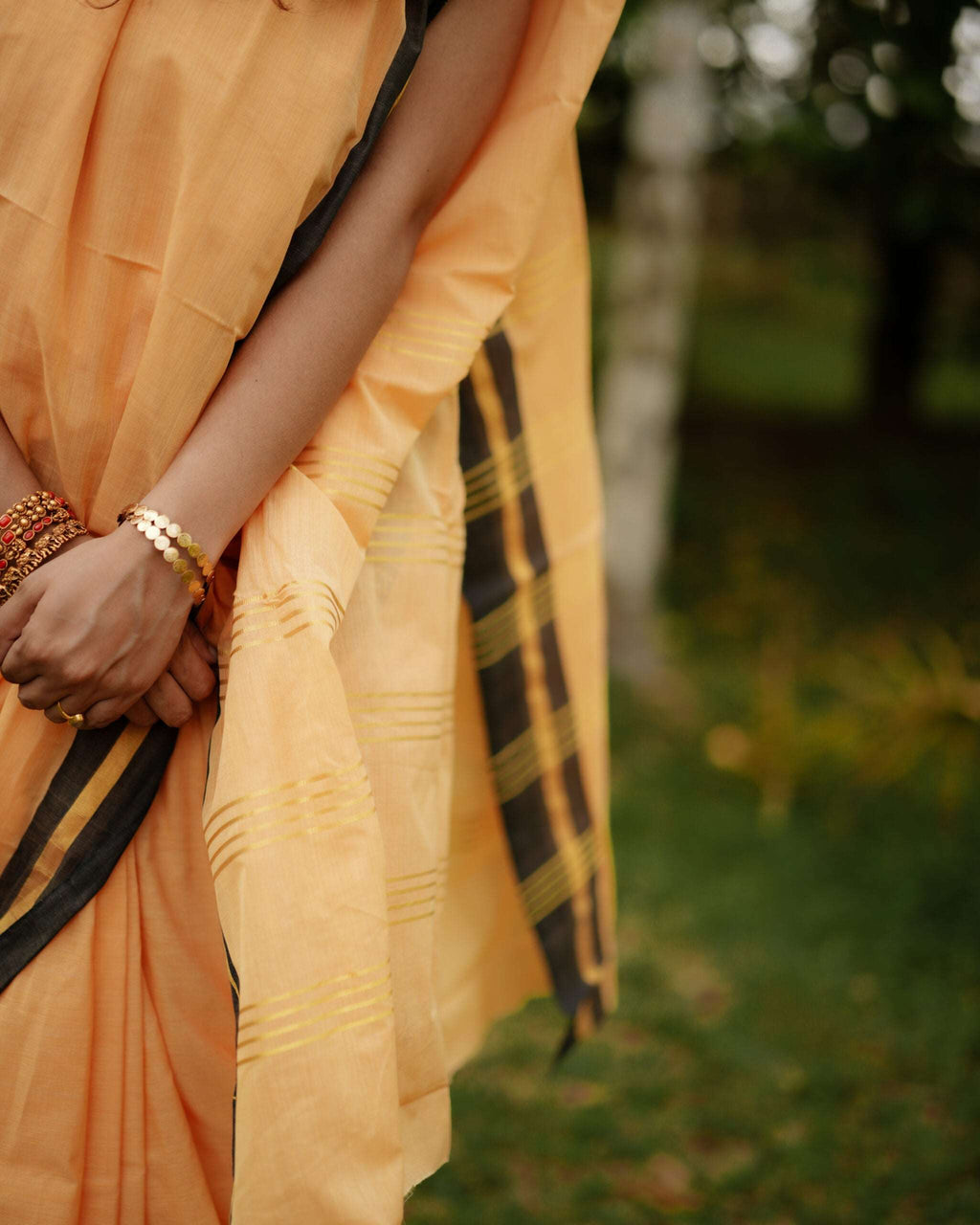 Aavani Saree 10