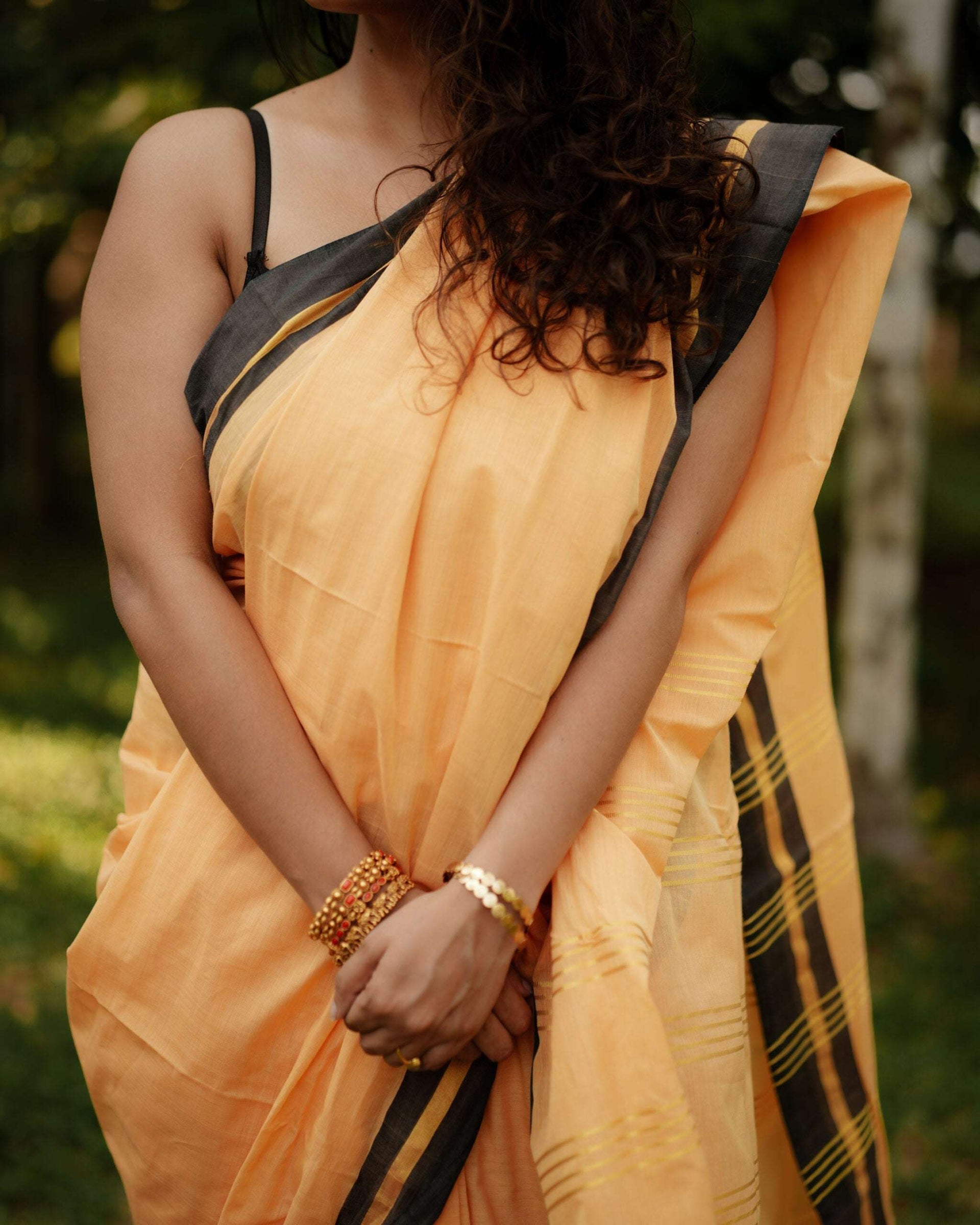 Aavani Saree 8