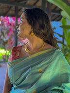 Padmaja Saree 17