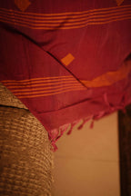 Rekha Saree 13