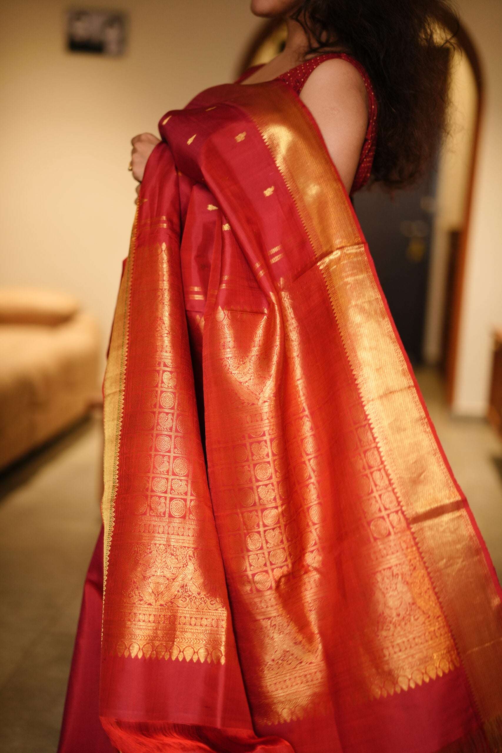 Gayathri Saree 10