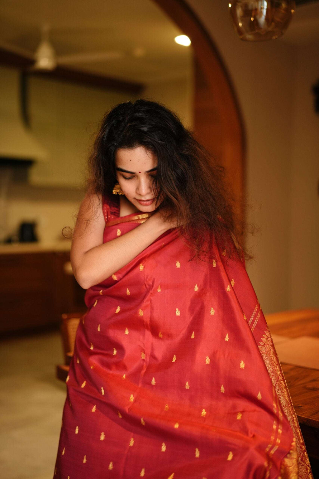 Gayathri Saree 17