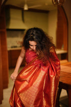 Gayathri Saree 7