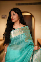 Shreyanshi Saree 11