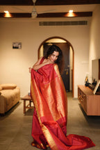 Gayathri Saree 5