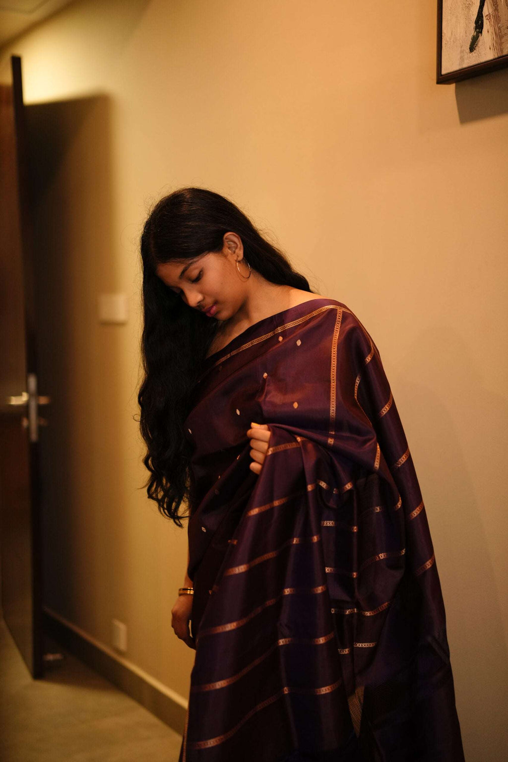 Grape Saree 2