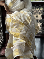 Suvarna Saree 4
