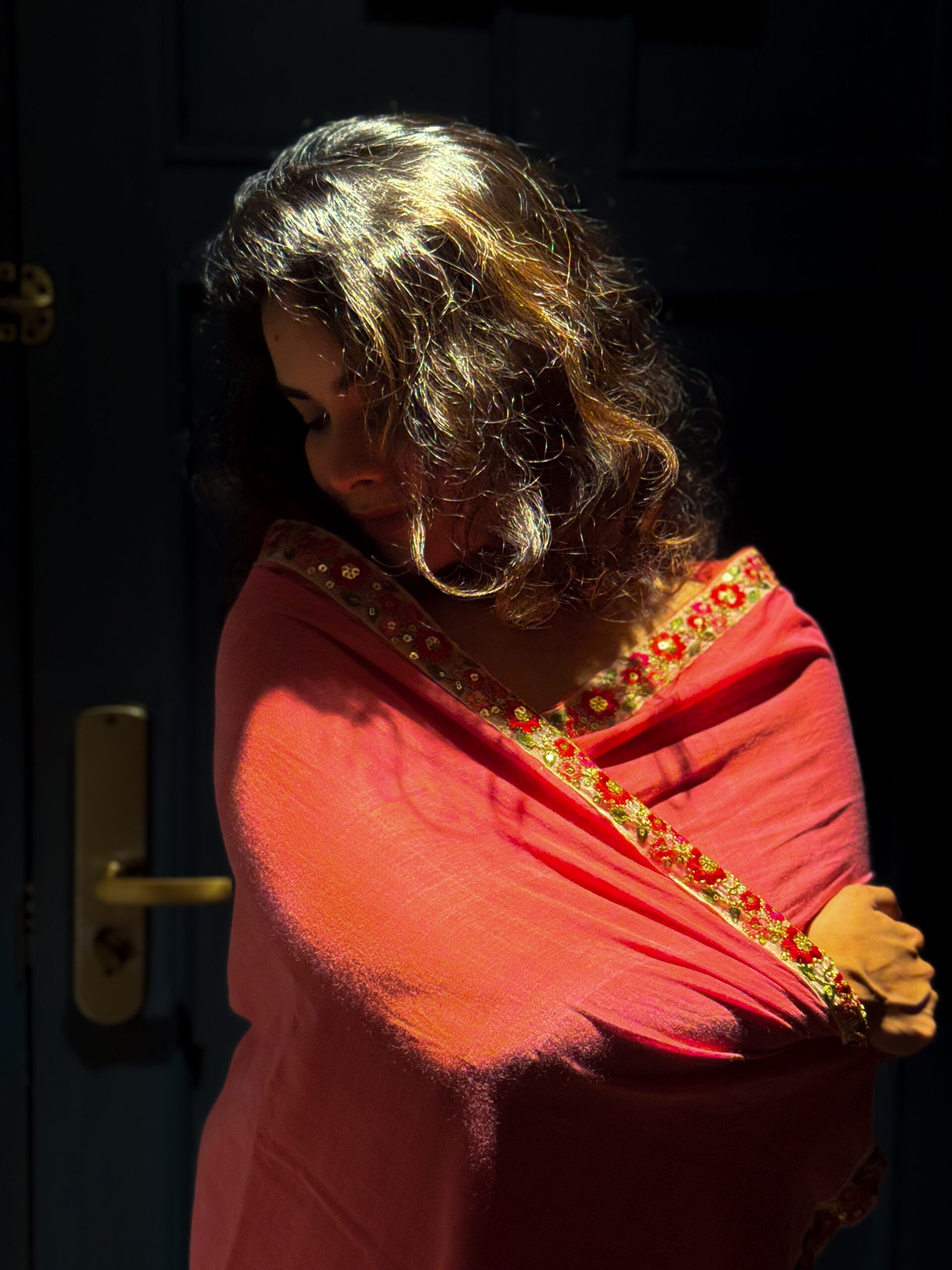 Valley of flowers saree 4