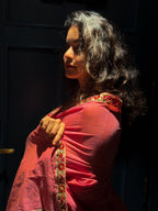 Valley of flowers saree 2