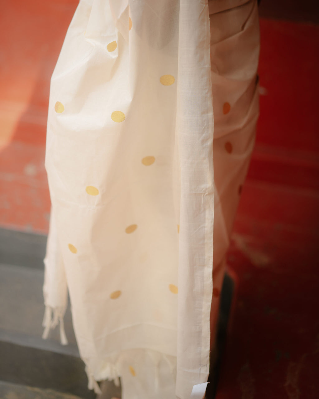 Bhadra Saree 10