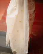 Bhadra Saree 10