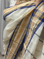 Chanchal Saree 2