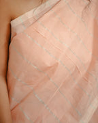 Shreddhapadma saree