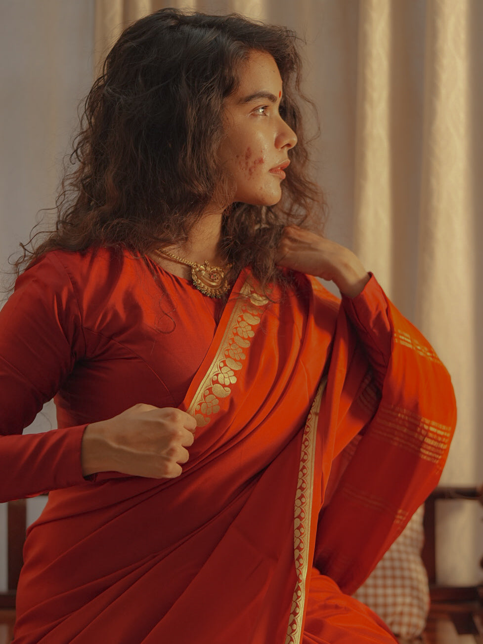 Rudra Saree 3