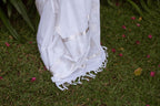 Anaswara Saree 21