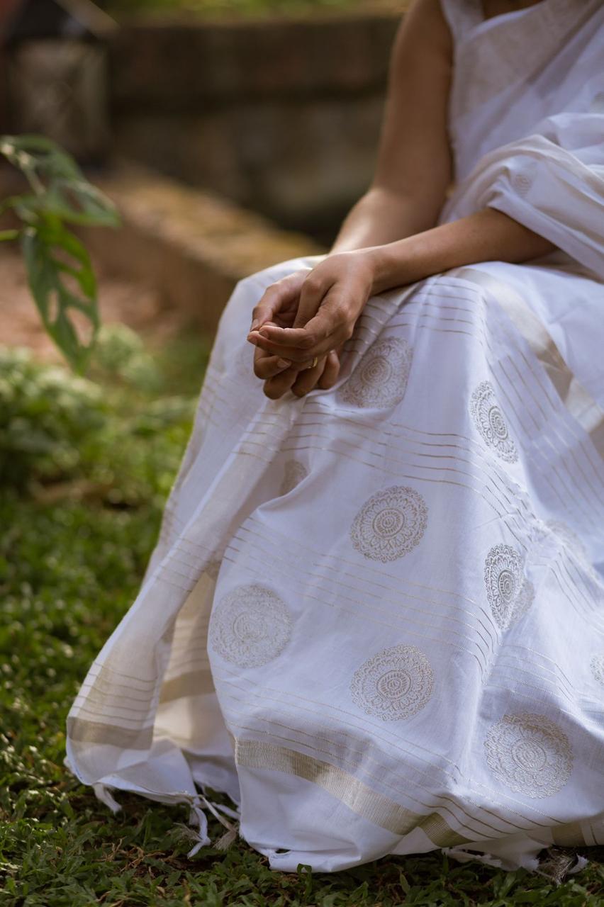 Anaswara Saree 19