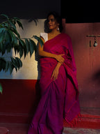 Wineish Saree 2