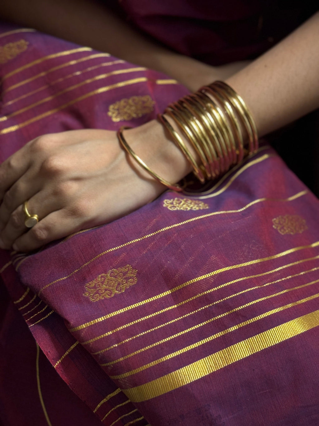 Shreddha Saree 2