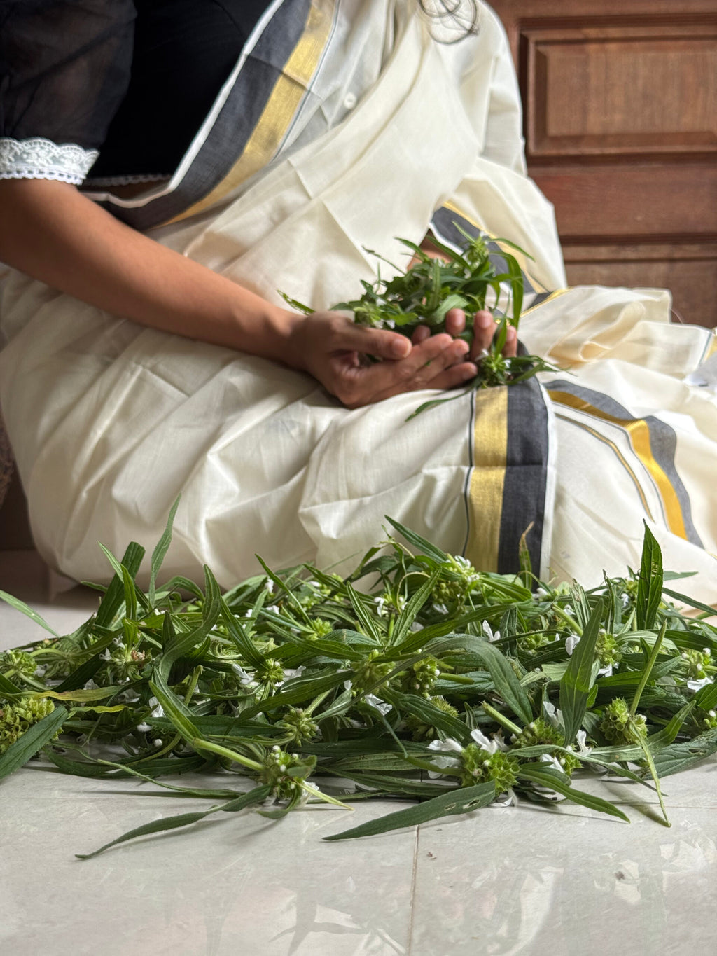 Jwala set mundu 5