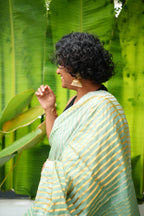 Shola Saree