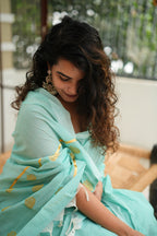 Neela Saree
