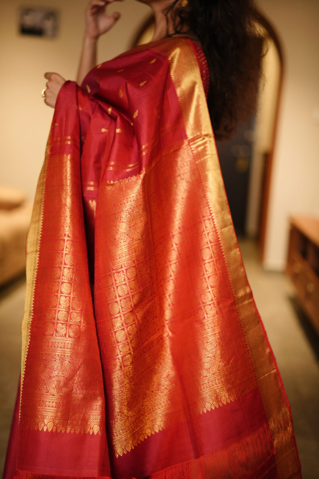 Gayathri Saree 28