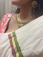 Ashwani Saree