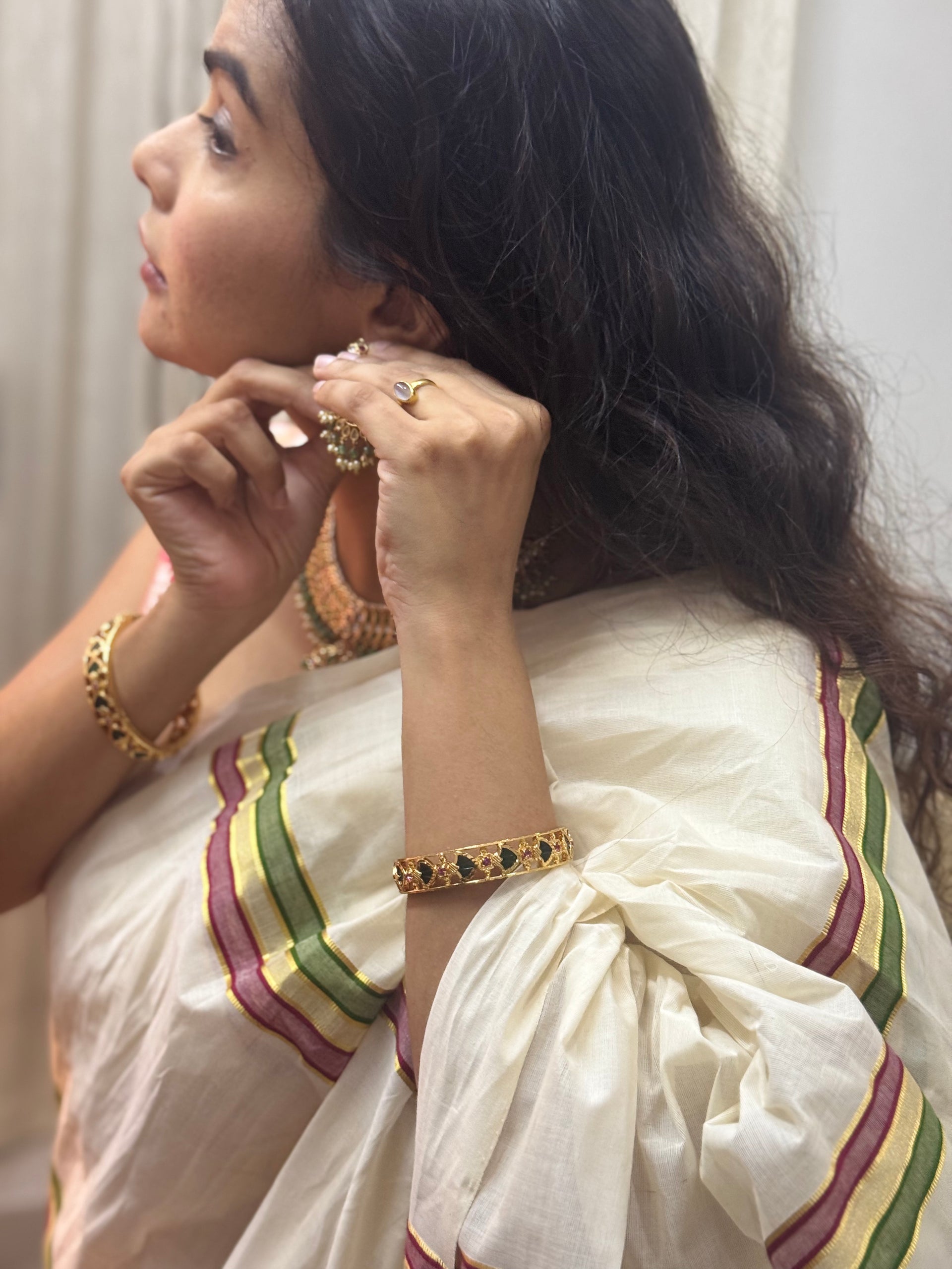 Ashwani Saree
