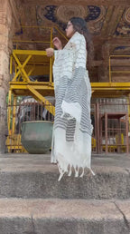 Brihadeshwara saree
